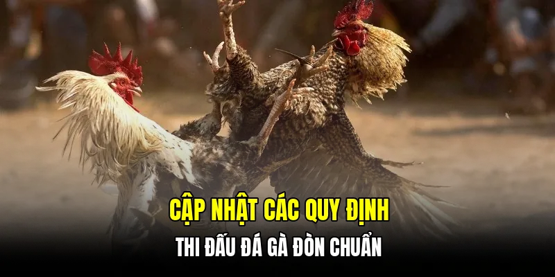 Cập nhật các quy định thi đấu đá gà đòn chuẩn